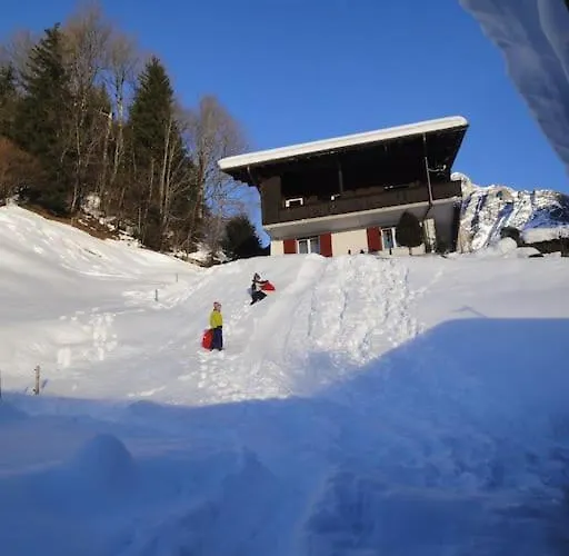 Engi Apt. 3 For Up To 8 People Appartement Grindelwald