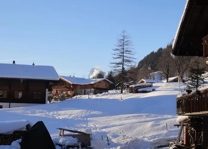 Appartement Engi Apt. 3 For Up To 8 People Grindelwald