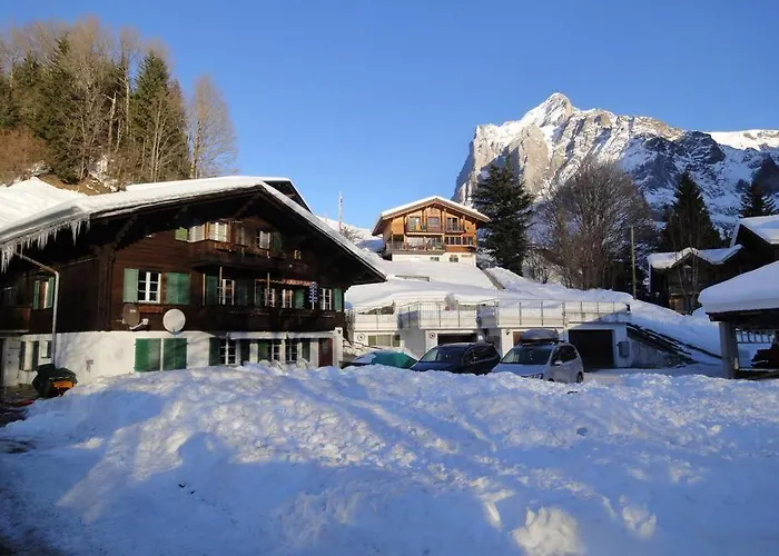 Appartement Engi Apt. 3 For Up To 8 People Grindelwald